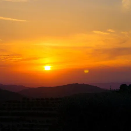 Finca Abogat Holiday home *
